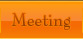 Meeting